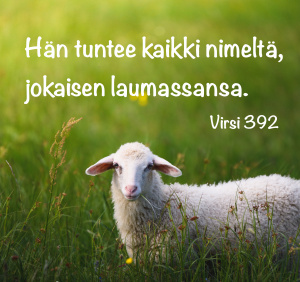 Lammas vihreällä niityllä, kuvassa teksti virrestä 362: Hän tuntee kaikki nimeltä, jokaisen laumassansa.
