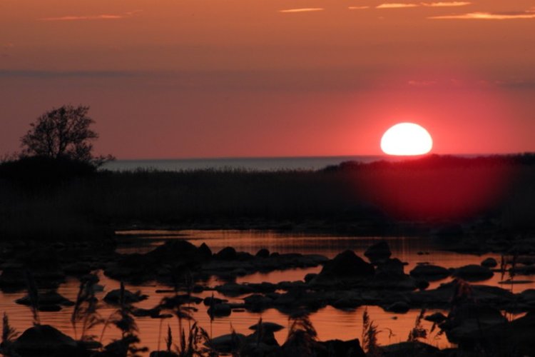 Ilta Tuulikarissa